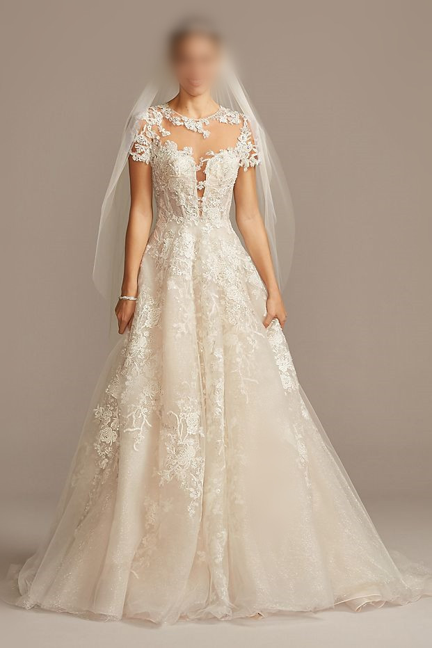 Lace Illusion Cap Sleeve Ball Gown Wedding Dress