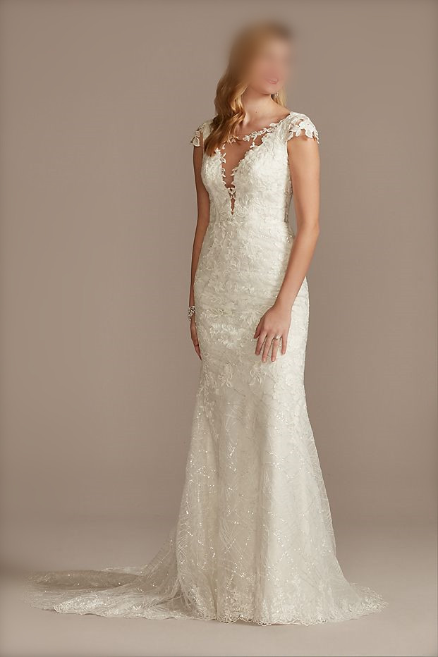 Tulle Sheath Wedding Dress with Beaded Swag Back