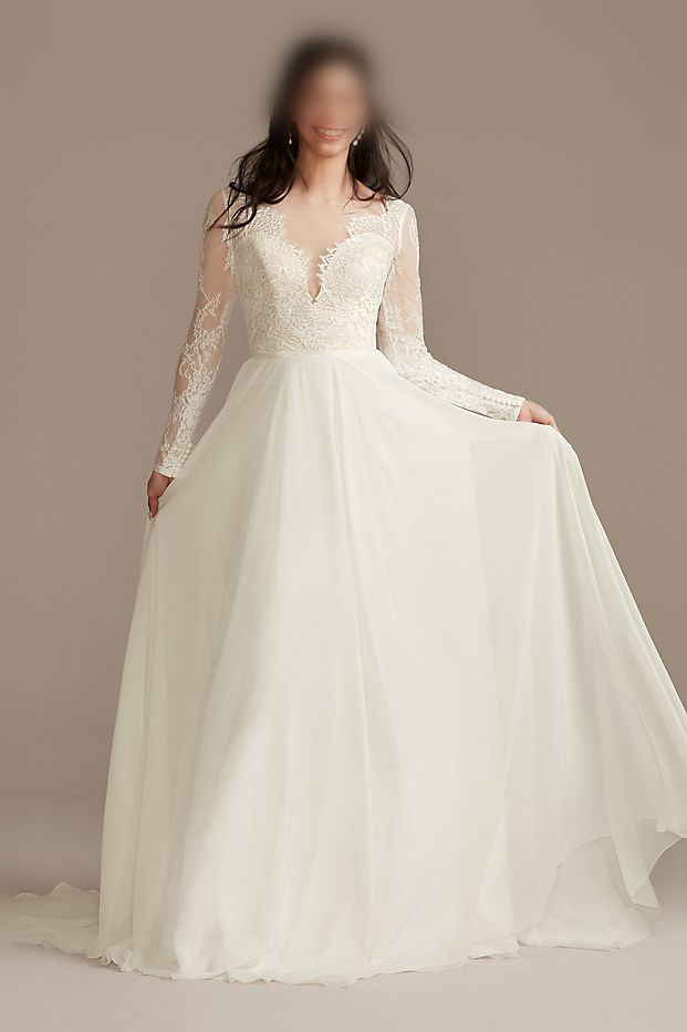 Long Sleeve Plunge Lace Chiffon Wedding Dress