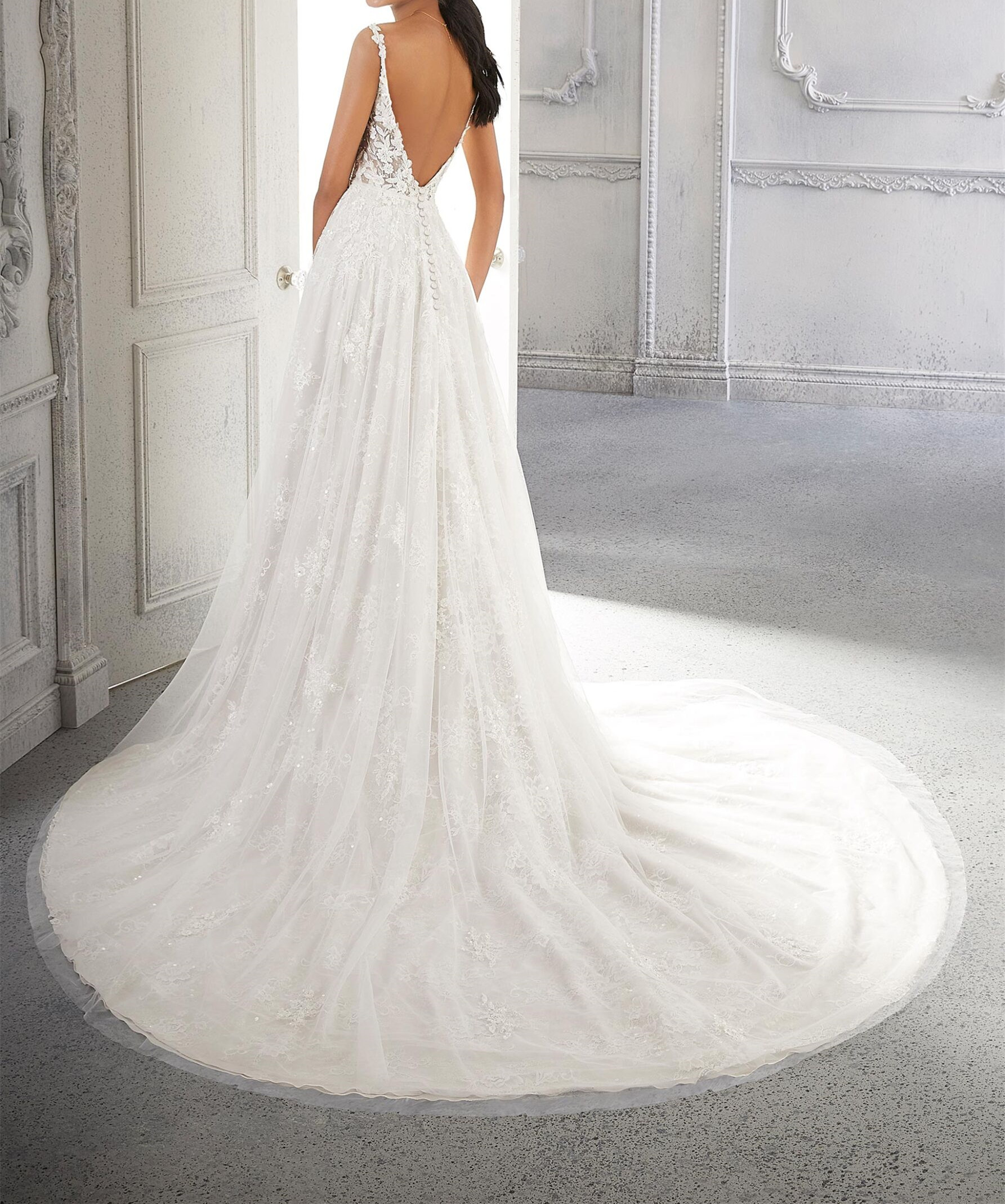 A-line wedding dress, in net over lace, sleeveless bodice v-neckline