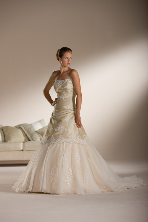 HS Wedding Dresses 565