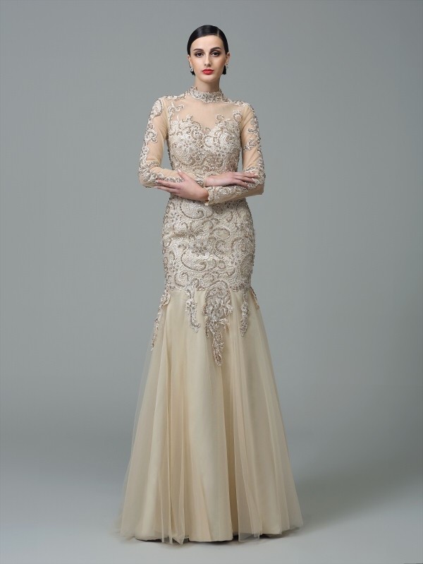 Sheath/Column High Neck Applique Long Sleeves Long Net Dresses 5977