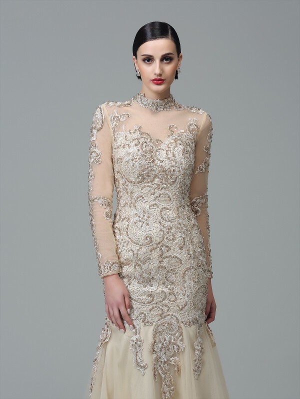 Sheath/Column High Neck Applique Long Sleeves Long Net Dresses 5977