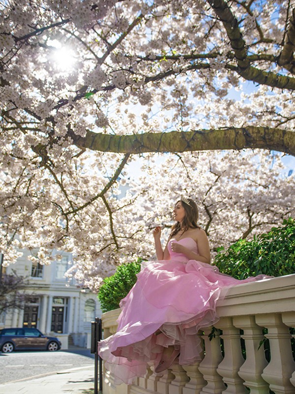 Ball Gown Sweetheart Organza Beading Floor-Length Sleeveless Dresses 5758