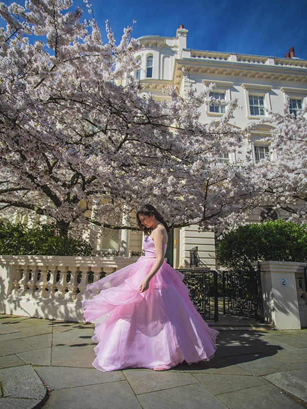 Ball Gown Sweetheart Organza Beading Floor-Length Sleeveless Dresses 5758