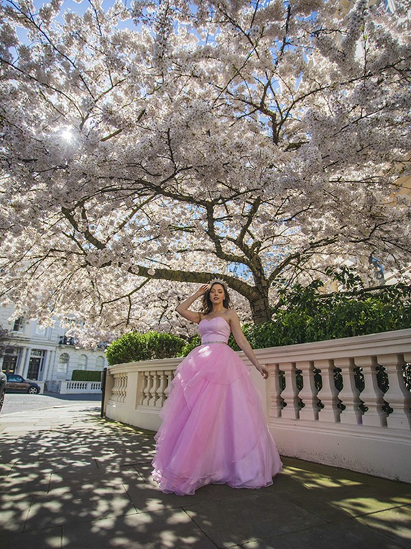 Ball Gown Sweetheart Organza Beading Floor-Length Sleeveless Dresses 5758