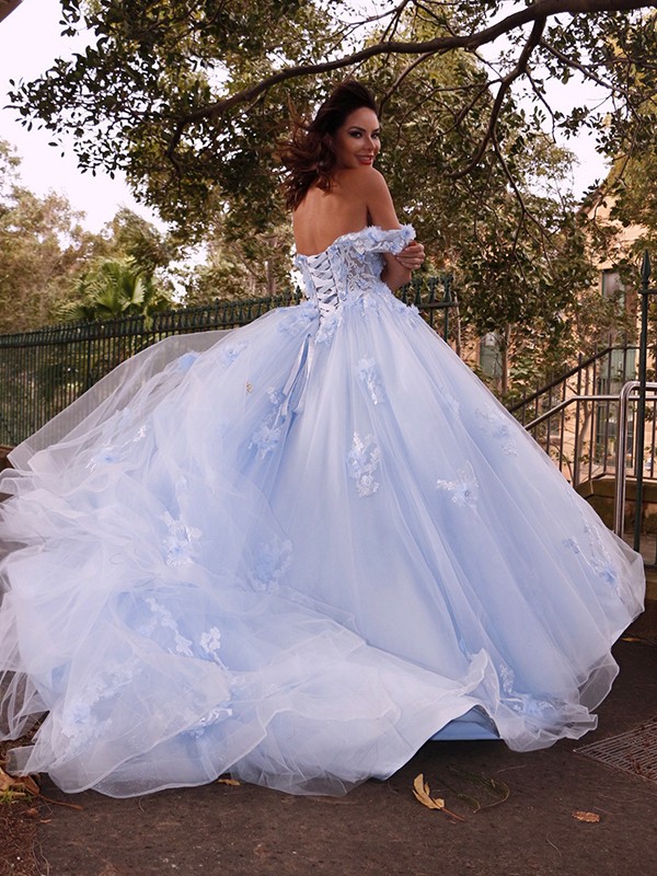 Ball Gown Tulle Applique Off-the-Shoulder Sleeveless Sweep/Brush Train Dresses 5782